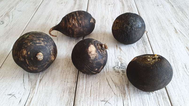 Ridichea - stebuklingas vaistas