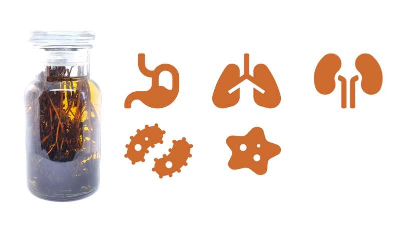 Čiobrelių tinktūra