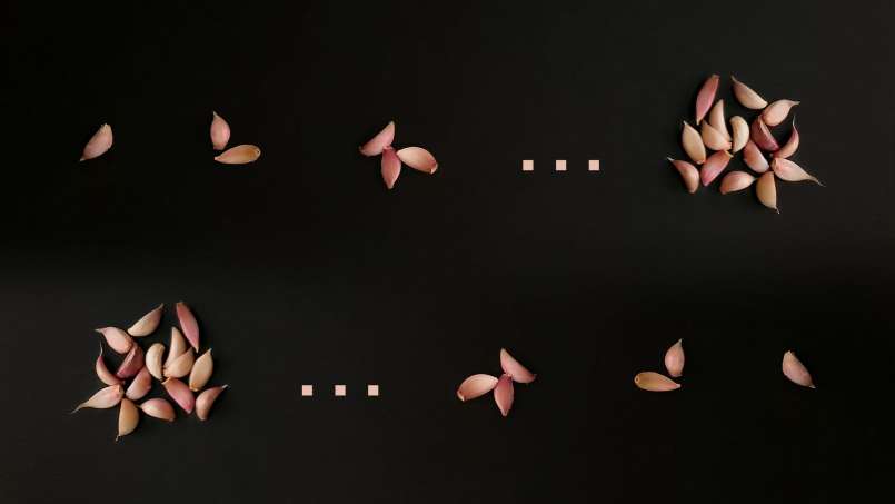 Visas česnakas ryte ant tuščio skrandžio